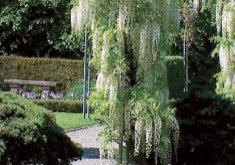 Belvoirpark