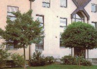 kleinkronige Bäume